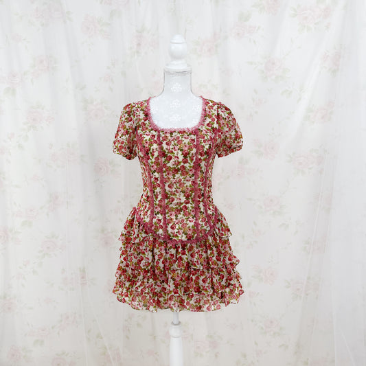 CECIL McBEE Fabulous Rose Layered Dress